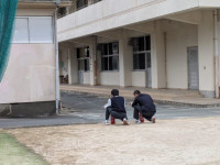 PXL_20251112_025822718