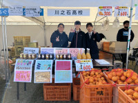 20251115_000301599_iOS