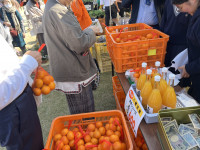 20251115_020325439_iOS