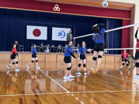 大なぎ